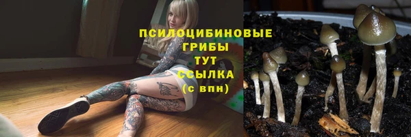 MDMA Заволжье
