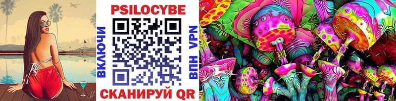 OMG зеркало  Карасук  Псилоцибиновые грибы Psilocybine cubensis  где купить наркоту 